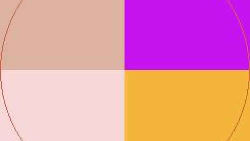 Dolore molior odio tego ut.